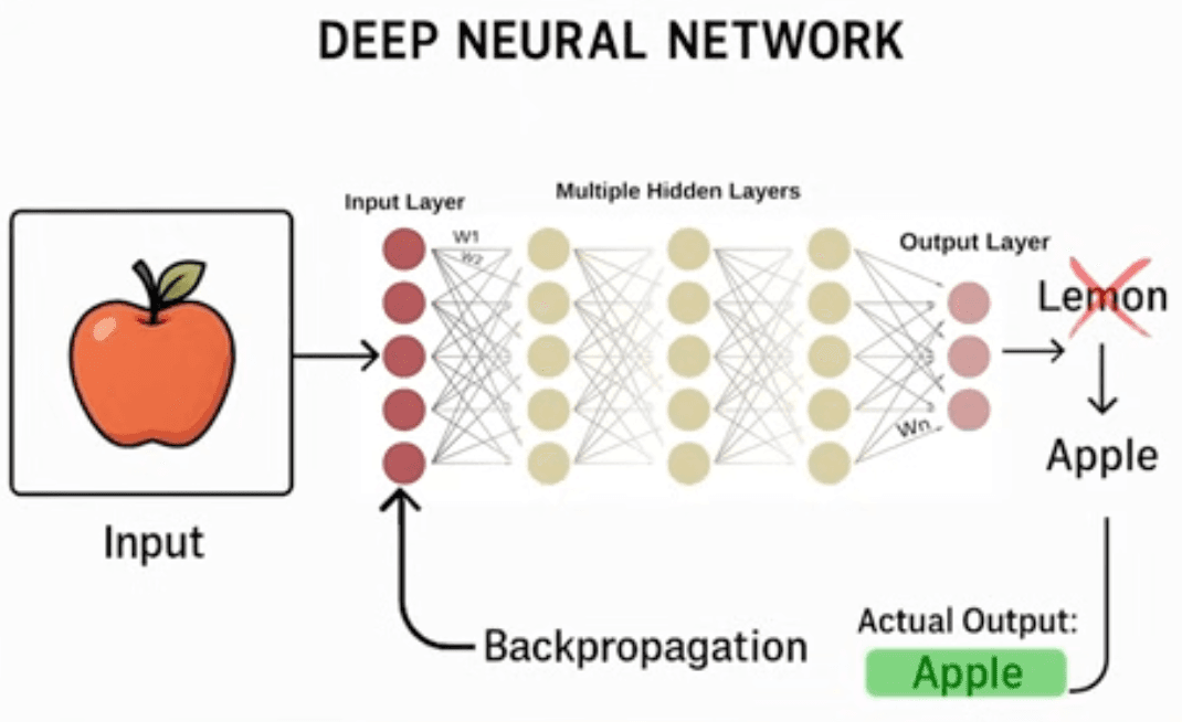 Deep_Neural_Networks